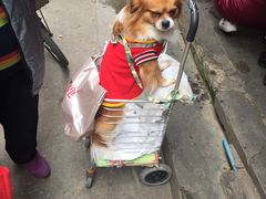 -嘉乐蛋挞王(文明分店)