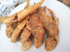 -华春餐馆(鱼山路店)