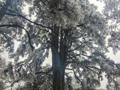 -终南山南五台景区