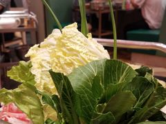 -真味鲜厨(观塘店)