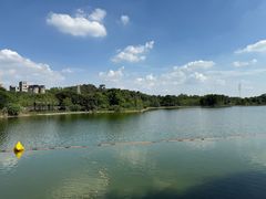 -广东花都湖国家湿地公园