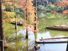 -深圳仙湖植物园