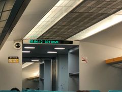 -龙阳路磁悬浮列车总站-停车场