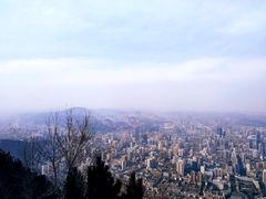 -兰山公园