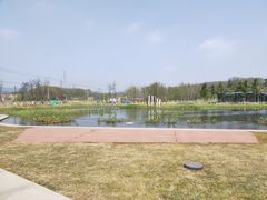 -佛手湖郊野公园