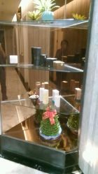 -佐登妮丝美容SPA生活馆