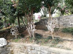 -武汉紫薇都市田园