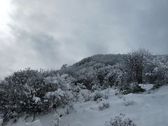 -太子岭滑雪场