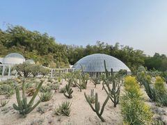 -深圳仙湖植物园