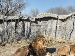 -北京野生动物园