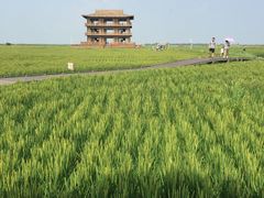 -红海滩国家风景廊道