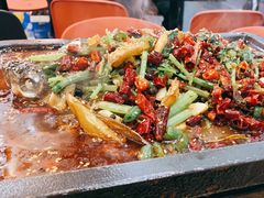 -宝记烧烤·碳锅羊肉·羊蝎子火锅·夜食社(文体路创始店)