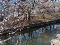 -团结湖公园