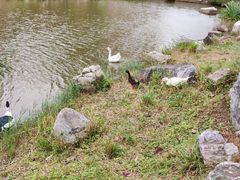 -东升八家郊野公园