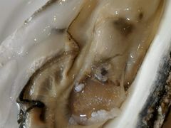 -老虎滩船说·海胆水饺·大连海鲜(老虎滩店)