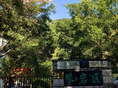 -陈记粤湛鸡饭店
