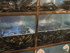 -三道苗苗鱼·美蛙黄辣丁(八里店)