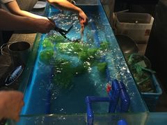 -星伦多 自助料理(圆融店)