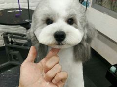 -八公叔叔宠物美容连锁(春申店)