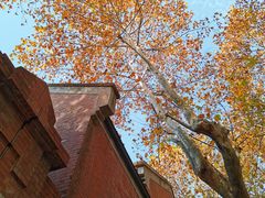 -Golden Lily河内巴黎法越料理餐厅(建国西路店)