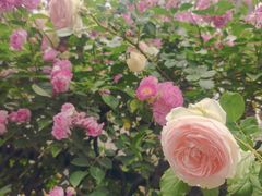 -日本风情街