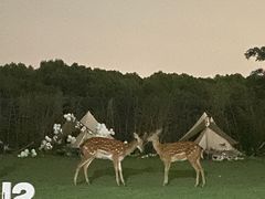 -不觉晓CAMPING(上海迪士尼营地店)