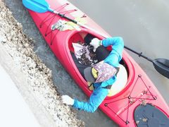 -琴岛之星摩天轮