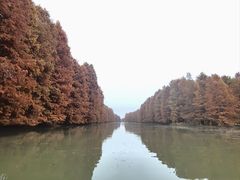 -上海海湾国家森林公园