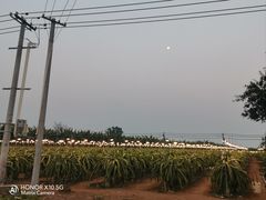 -硇洲岛旅游区