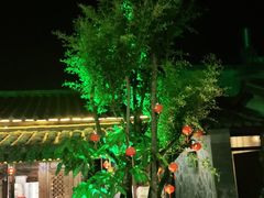 -尽善百年古院餐厅(王家老宅店)