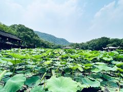 -兰亭风景区