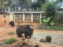 -昆明动物园