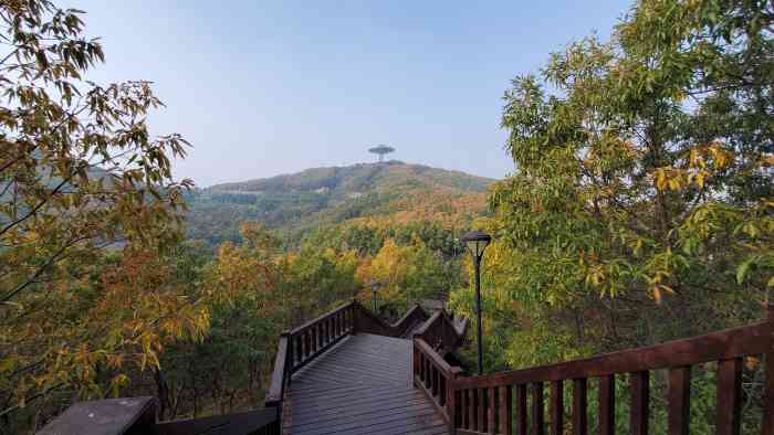 童牛岭风景区-"97十一的时候过去的.可以带狗狗9817.