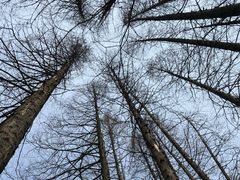 -中共上海市委党校 上海行政学院