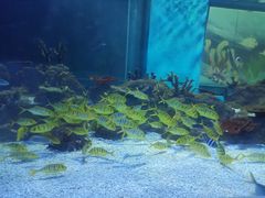 -常州海昌海洋探索馆