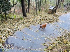 -溪霞怪石岭生态公园