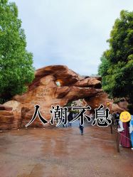 -翱翔飞越地平线