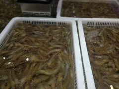 -盒马鲜生(顺义店)
