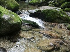-牛背梁国家森林公园