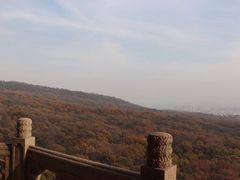 -灵谷景区