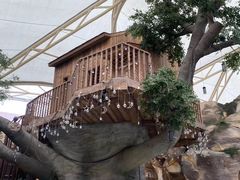 -杭州开元森泊度假乐园