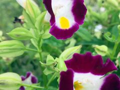 滨湖湿地公园-合肥滨湖国家森林公园