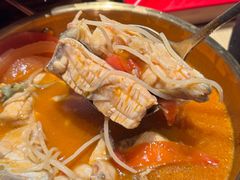 -丝恋丝娃娃(逸天城国贸店)