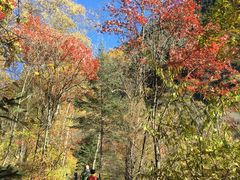 -叠溪松坪沟景区