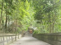 -都江堰普照寺