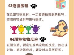 -艾贝尔宠物医院 ·中兽医·宠保定点(北门桥店)