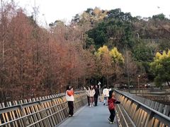 -福道