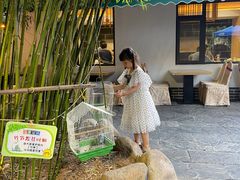 -清雅臻品·竹林院落·新派青岛菜(崂山店)