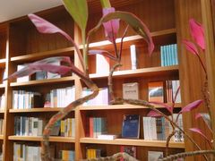 -二酉书店TOYOU BOOKS