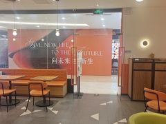 -油梨树 AVOCADO TREE(亮马桥店)